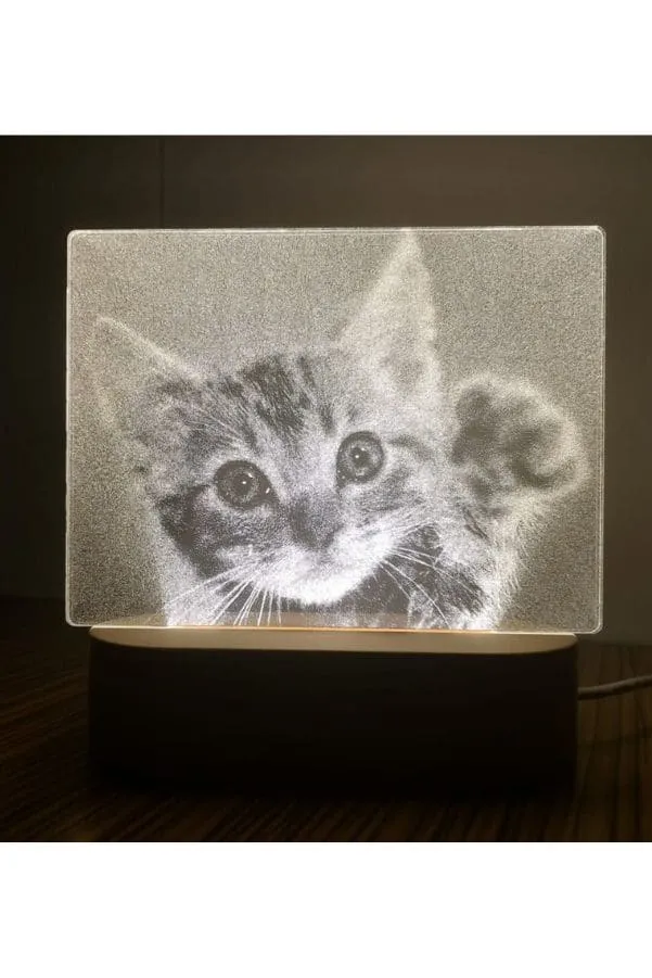 3D Acrylic Night Light Table Lamp with Wooden Base, Best Gift for Birthday, Anniversary, and Home Decor (Cute little Kitten)