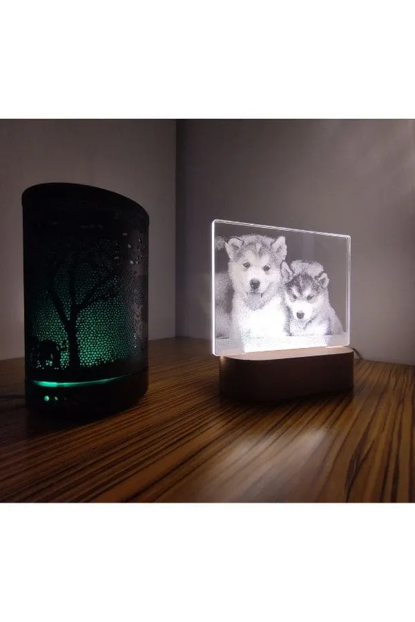 3D Acrylic Night Light Table Lamp with Wooden Base, Best Gift for Birthday, Anniversary, and Home Decor (Husky)