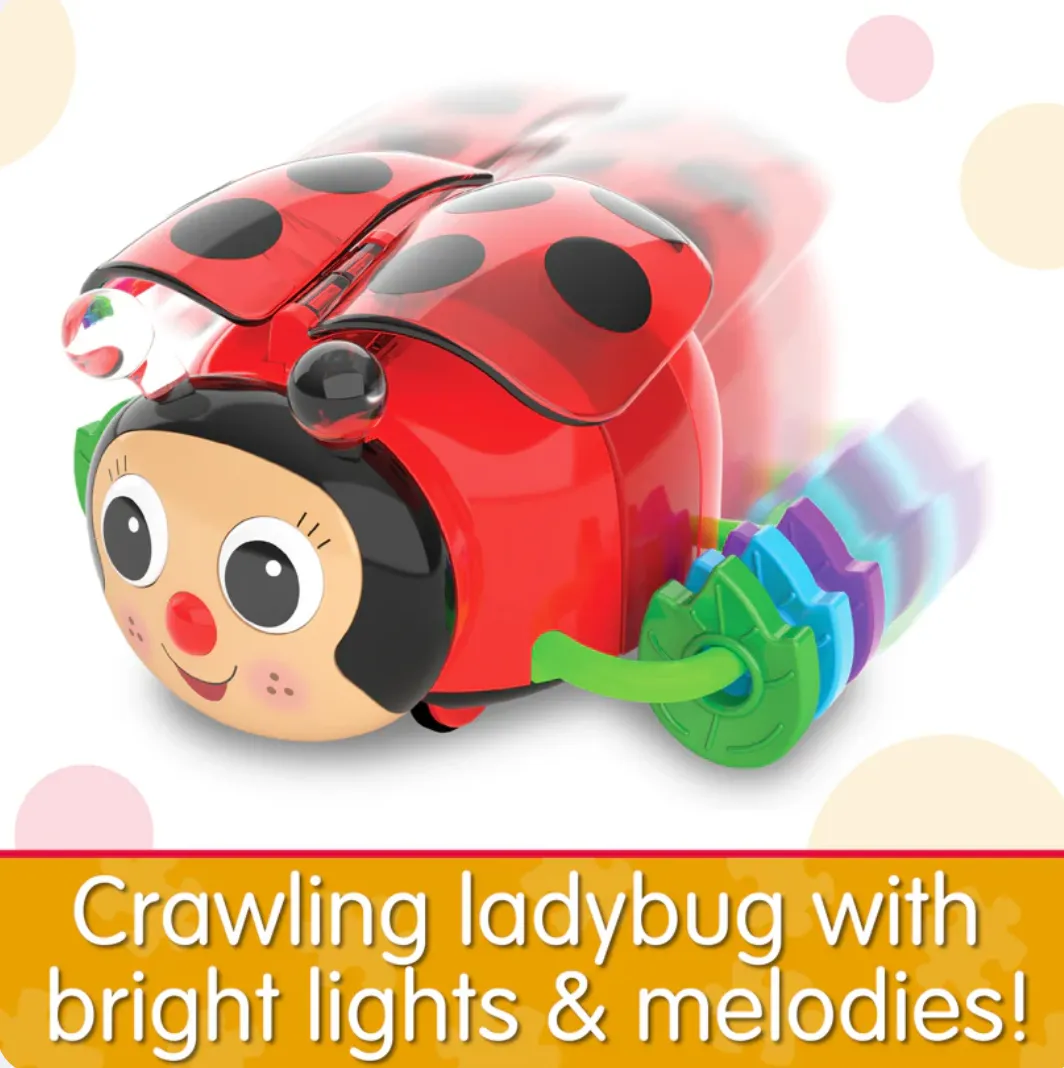 Crawl About Ladybug