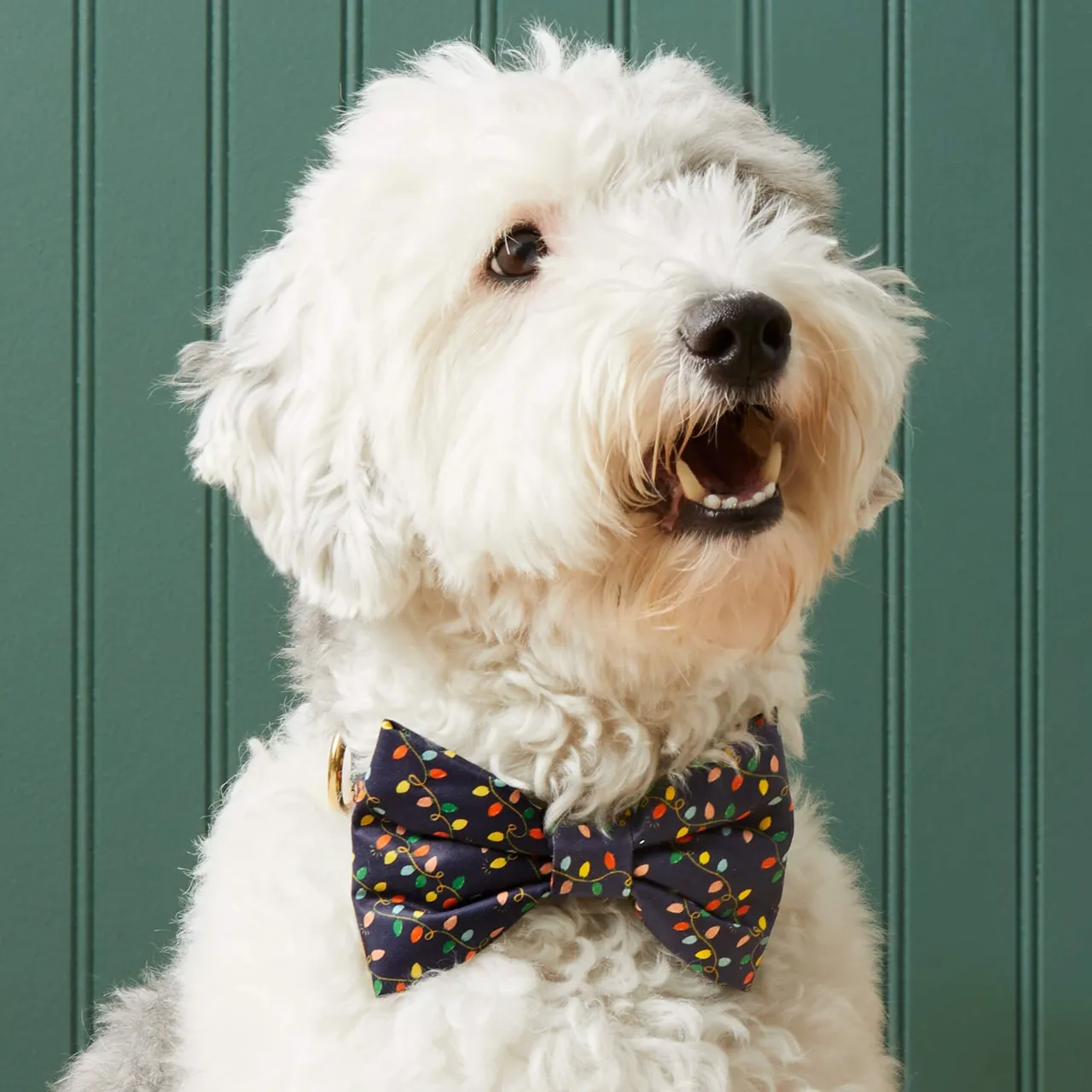 Dog and Cat Bowtie: Rifle Paper Co. x TFD Holiday Lights