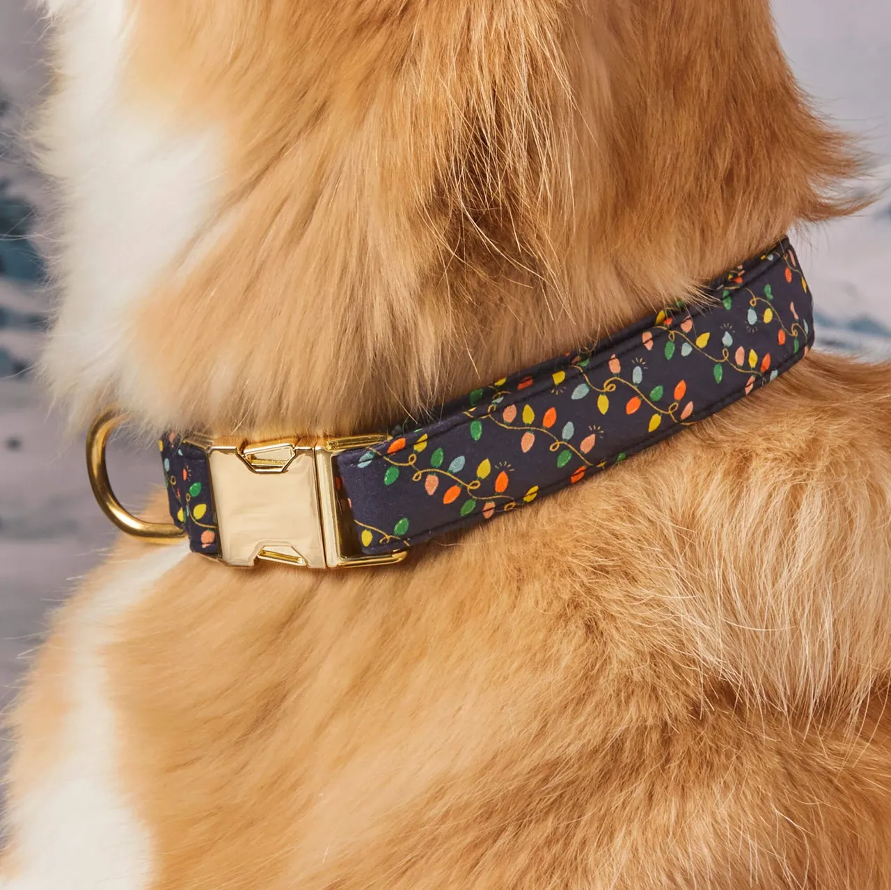 Dog Collar: Rifle Paper Co. x TFD Holiday Lights