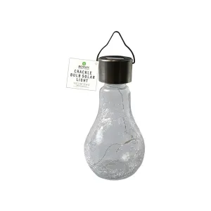 Rowan Bright Night Bright White Solar Crackle Bulb Light