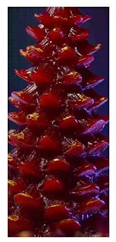 Tedz Candles Christmas Tree Xmas Pine Tree Candle for Home Decoration, Gifting, House,Birthday, Diwali, Festival Decorative Candles_(Red-Pack of 5) XM